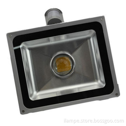 Hot sale 20W LED flood light with sensor and lens